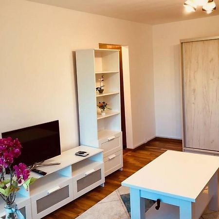 Joy City Stay Iasi 15 Timişoara Extérieur photo