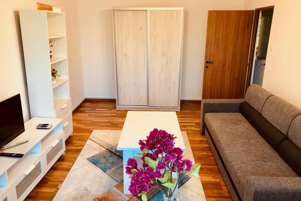 Joy City Stay Iasi 15 Timişoara Extérieur photo