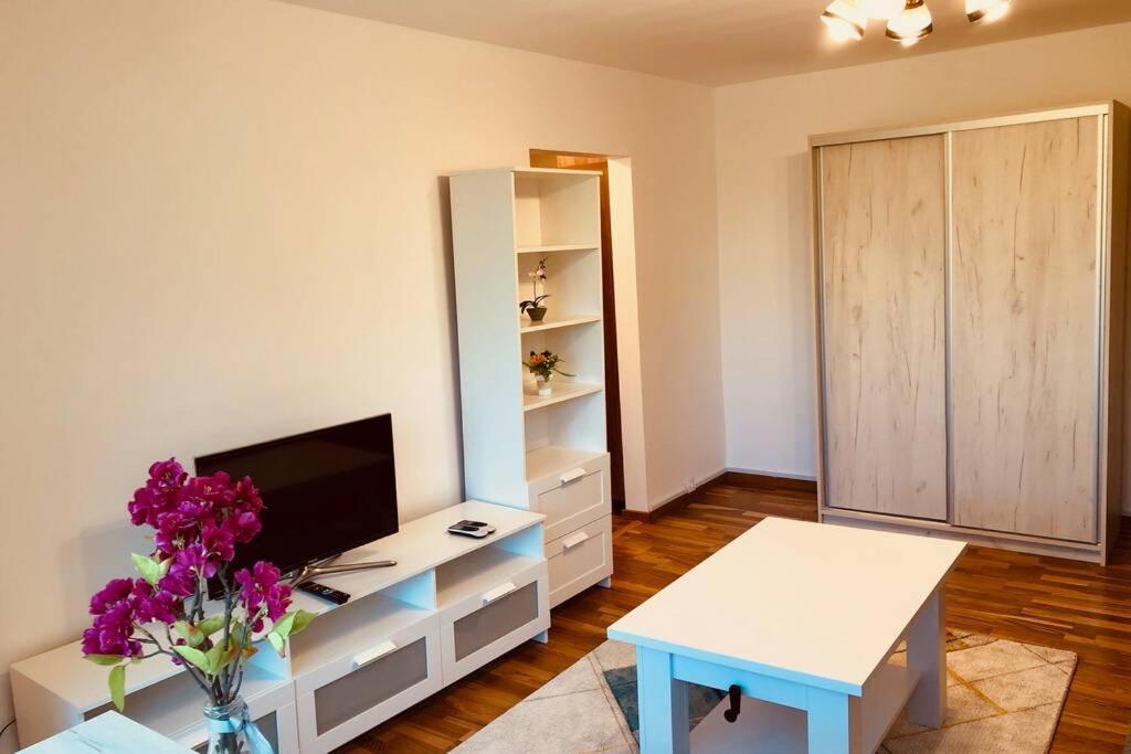 Joy City Stay Iasi 15 Timişoara Extérieur photo
